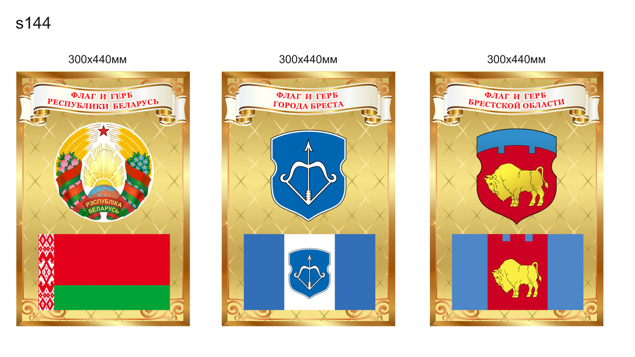 Комплект стендов с символикой Республики Беларусь и областных городов, с флагом и гербом. 300х440мм - фото 2 - id-p215871771
