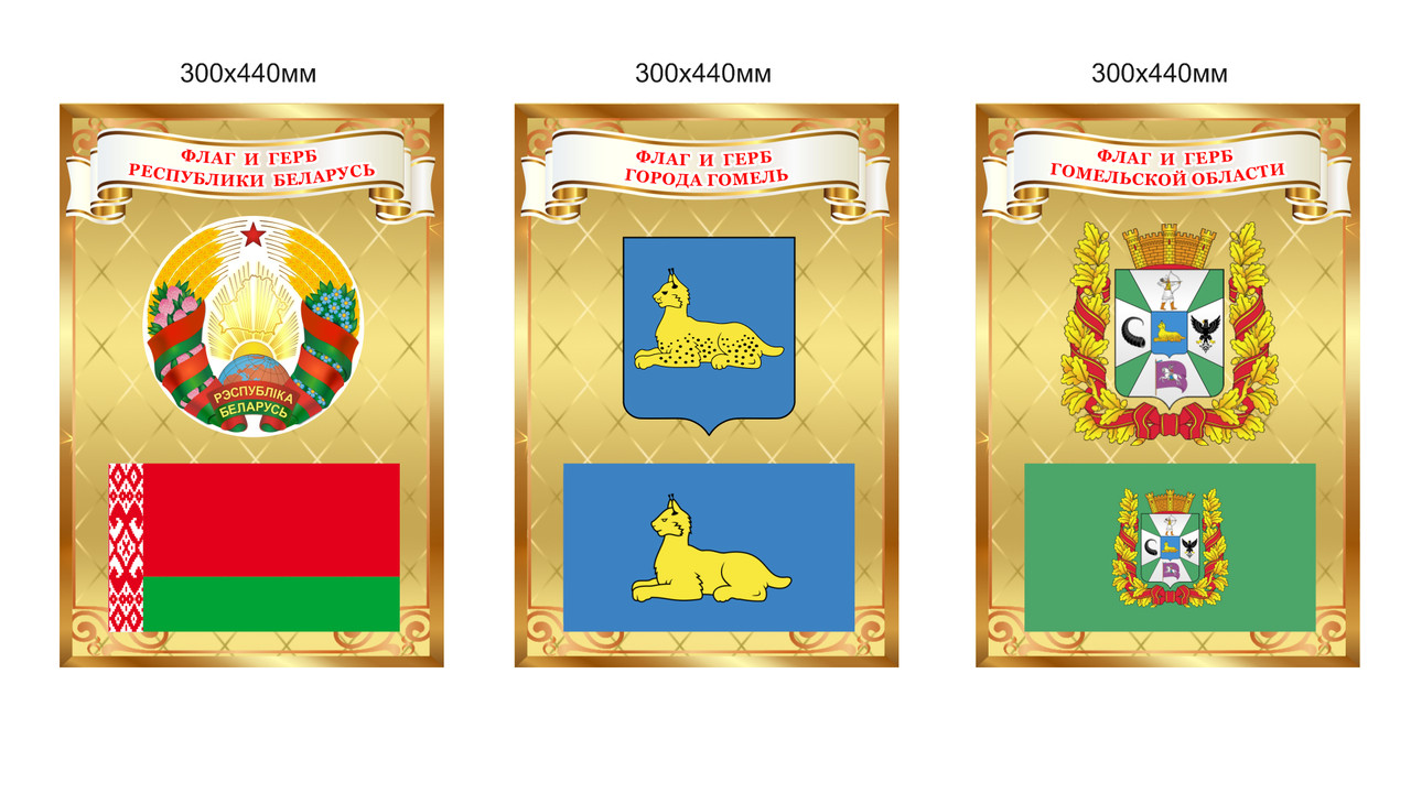 Комплект стендов с символикой Республики Беларусь и областных городов, с флагом и гербом. 300х440мм - фото 3 - id-p215871771