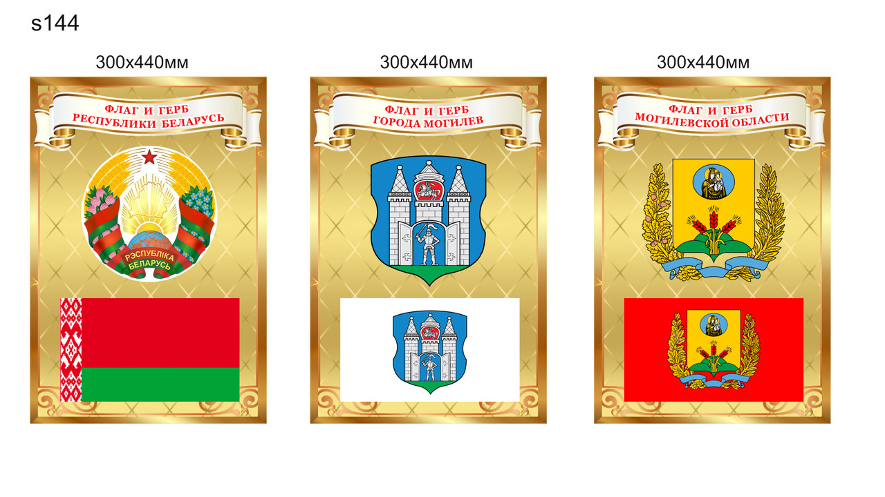 Комплект стендов с символикой Республики Беларусь и областных городов, с флагом и гербом. 300х440мм - фото 4 - id-p215871771