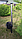 Печь под казан 8-10л "Сибирский Следопыт", d340, сталь 2мм, с трубой, арт. PF-SC-02, фото 3
