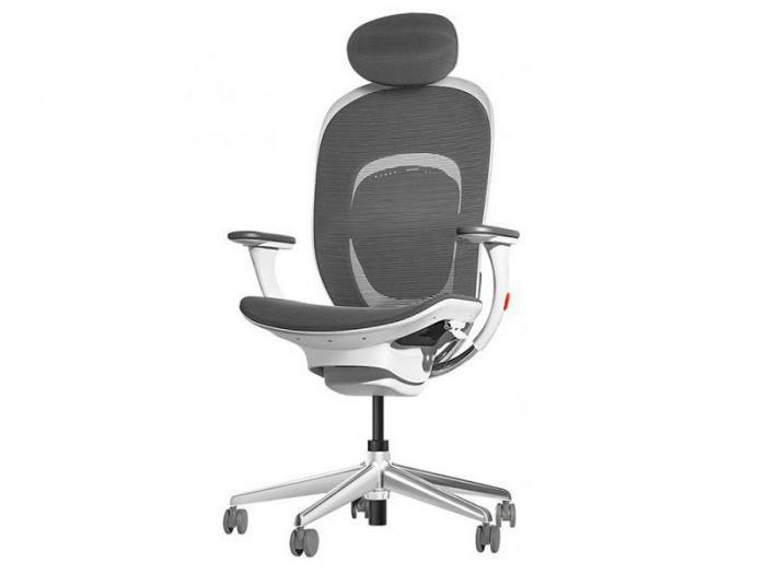 Компьютерное кресло Xiaomi Yuemi YMI Ergonomic Chair White - фото 1 - id-p215791780