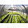 Грядка оцинкованная урожайная ComfortProm  6м х 0,65м х 0,2м, фото 3