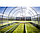 Грядка оцинкованная урожайная ComfortProm  6м х 0,65м х 0,2м, фото 6