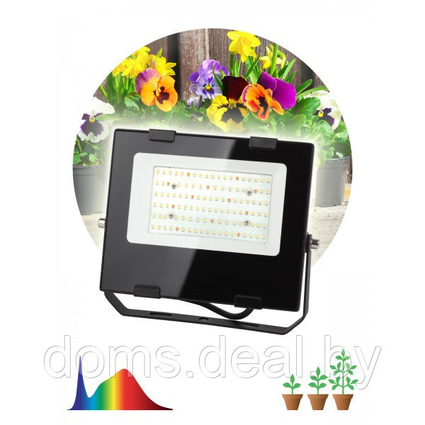Фитопрожектор для растений светодиодный ЭРА FITO-50W-Ra90-LED для цветения и плодоношения полного спектра 50Вт - фото 1 - id-p215935143