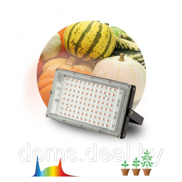 Фитопрожектор для растений светодиодный ЭРА FITO-80W-Ra90-LED-Y полного спектра Эра FITO-80W-Ra90-LED-Y - фото 1 - id-p215935144