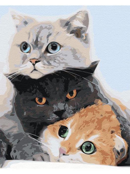 Картина по номерам кот Три кота Животные Кошки на холсте 40х50 Живопись для детей - фото 1 - id-p215915397