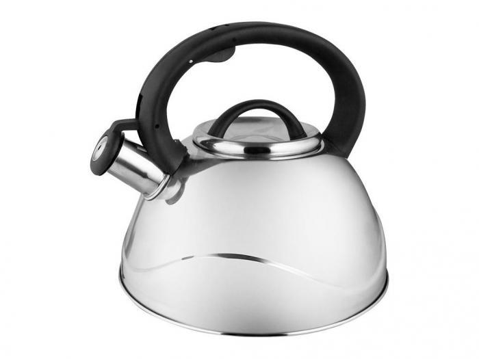 Чайник со свистком из нержавейки металлический Webber BE-0524 3л для индукционной и газовой плиты - фото 1 - id-p215920635
