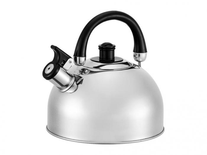 Чайник со свистком из нержавейки металлический Webber BE-0528 4,5л для индукционной и газовой плиты - фото 1 - id-p215920636