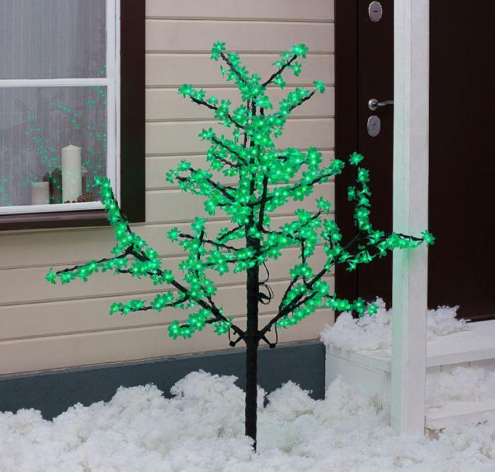 Five Rookie фруктовые деревья Mistakes You Can Fix Today