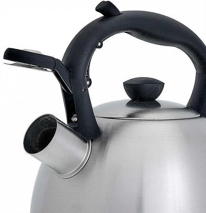 Чайник со свистком для газовой и индукционной плиты 2 литра нержавеющая сталь WEBBER BE-0578 - фото 3 - id-p215918773