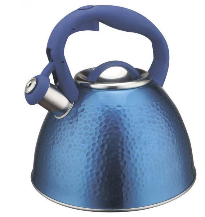 Чайник со свистком ZEIDAN Z-4362 из нержавеющей стали 3 литра для газовой индукционной плиты синий - фото 1 - id-p215918775