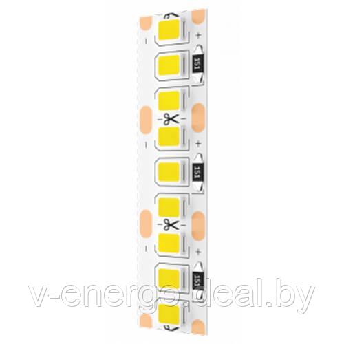 Светодиодная лента Geniled GL-240SMD2835 12В 20Вт/м 10x5000 3800-4200К IP33