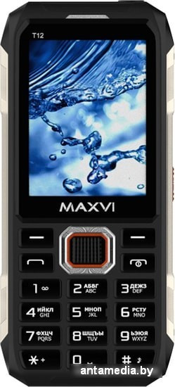 Мобильный телефон Maxvi T12 (синий) - фото 2 - id-p215963704