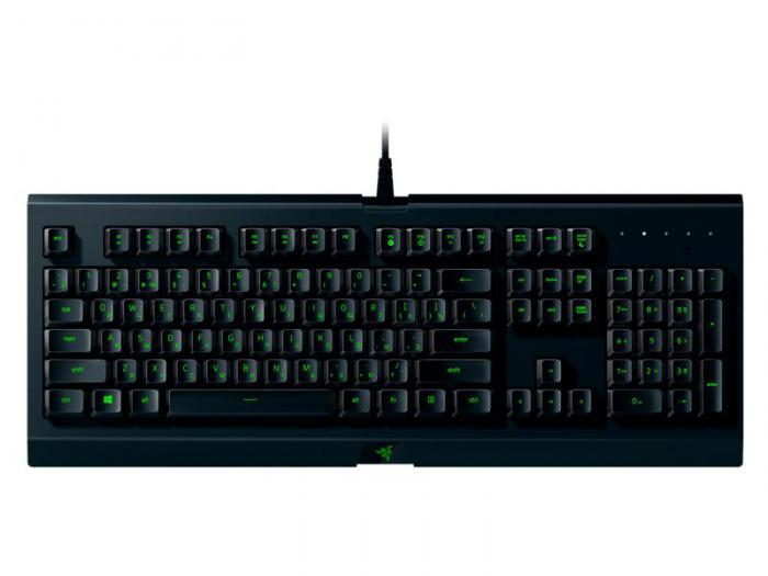 Геймерская клавиатура с подсветкой Razer Cynosa Lite RZ03-02741500-R3R1 мембранная игровая для компьютера - фото 1 - id-p215922152