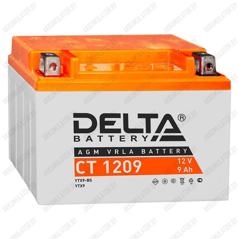 Delta AGM CT-1209 - фото 1 - id-p137644190