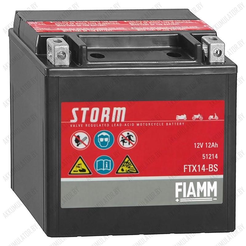 Fiamm AGM Storm FTX14-BS - фото 1 - id-p137644260