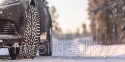 Зимняя шина Nokian Tyres WR D4 205/55R16 91T - фото 5 - id-p215985536