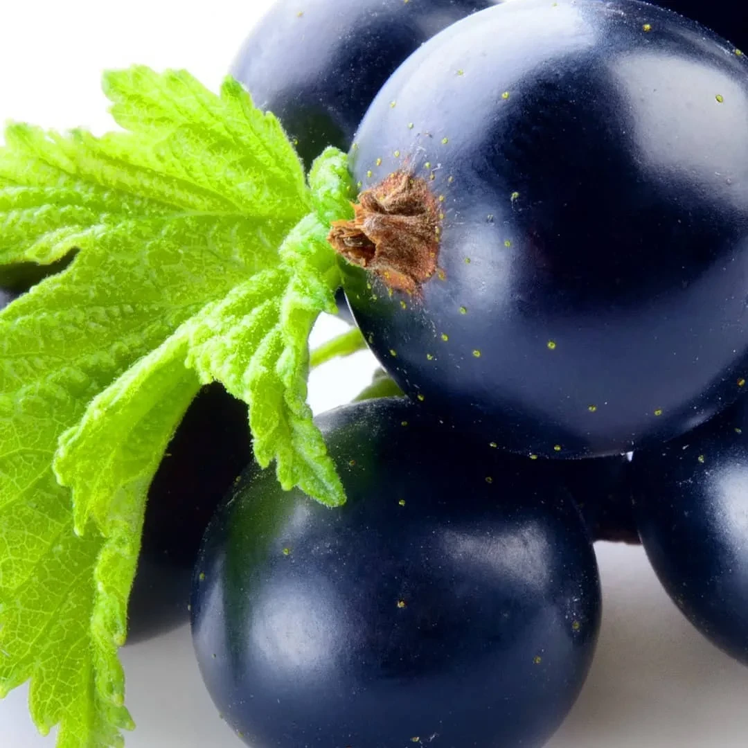 Отдушка КЕМА Абсент из черной смородины 30гр (по мотивам Candle Science)