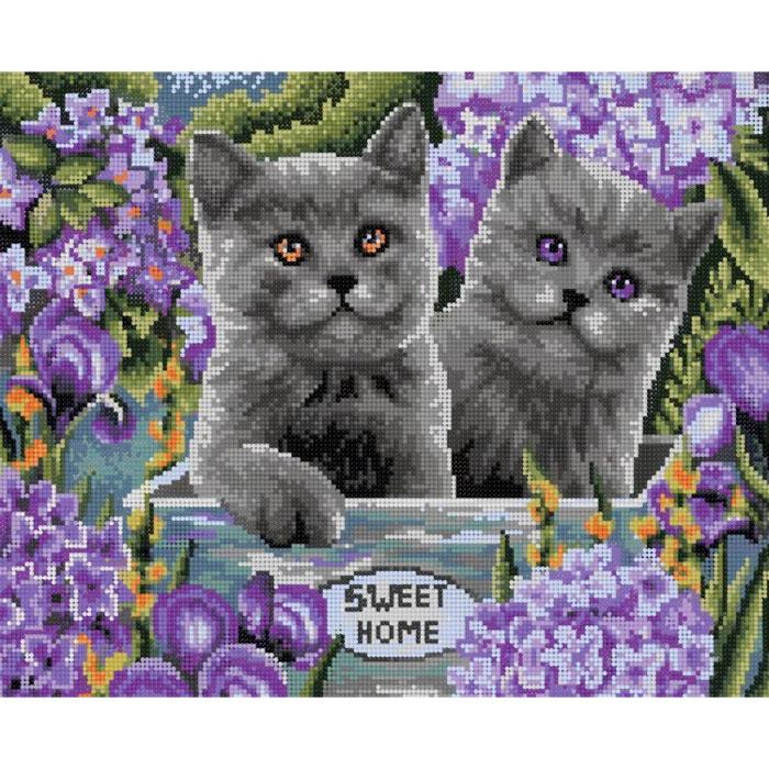 Британские котята. Алмазная мозаика Art City 40 x 50 см - фото 2 - id-p216016765