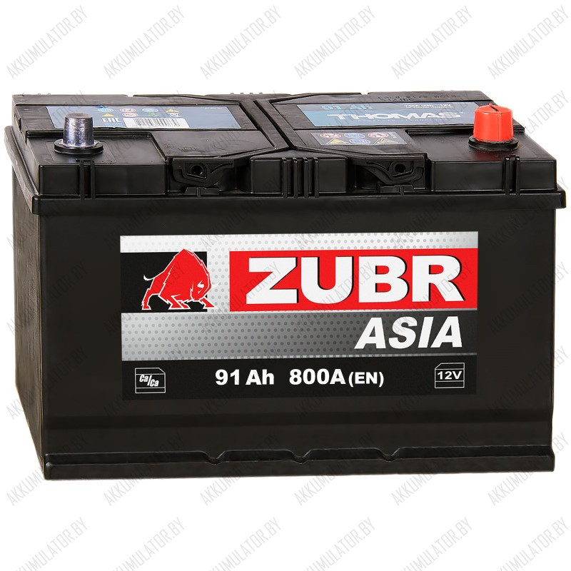 Аккумулятор Зубр Asia 91Ah / 800А - фото 1 - id-p177910710
