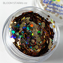 Блестки Bloom Star2 - #2