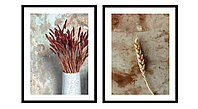 Набор из двух постеров 30х40 Растения (Колосья) (3) ВЫВОД