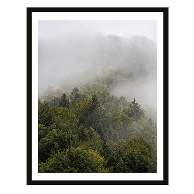 Постер 40х50 Природа (Туманный лес) (6) - фото 1 - id-p216082485