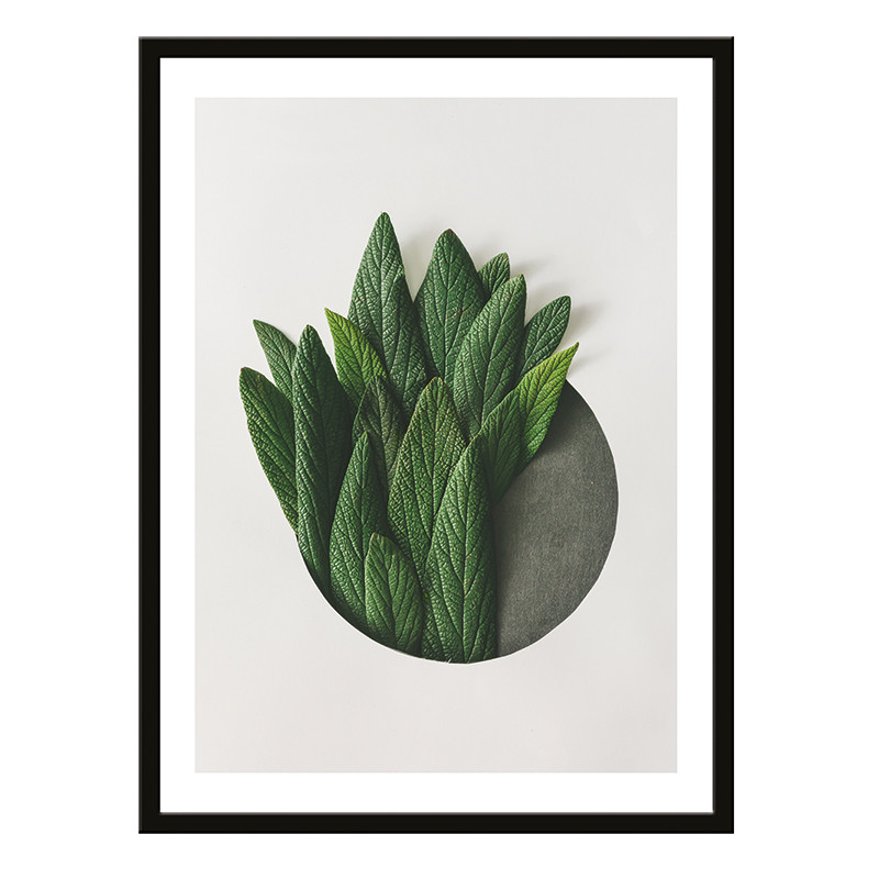 Постер 30х40 Растения (Шалфей макро) (6) - фото 1 - id-p216079524