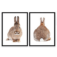 Набор из двух постеров 60х90 Животные (Кролик) (2) ВЫВОД