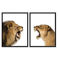 Набор из двух постеров 50х70 Животные (Лев и Львица) (3)