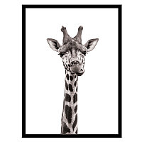 Постер в раме 30х40 Животные (Любознательный жираф) 230401508 (6)