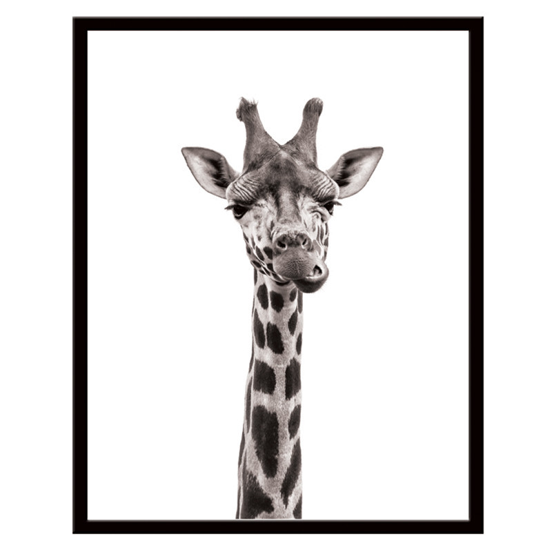 Постер в раме 40х50 Животные (Любознательный жираф) 240501502 (6) - фото 1 - id-p216079666
