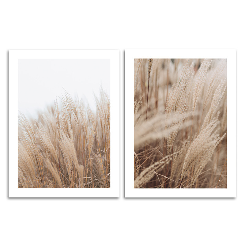 Набор из двух постеров на подложке 30х40 Растения (Сухой тростник) (10) - фото 1 - id-p216081997