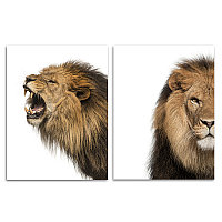 Набор из двух постеров на подложке 30х40 Животные (Рычащий лев) (10)