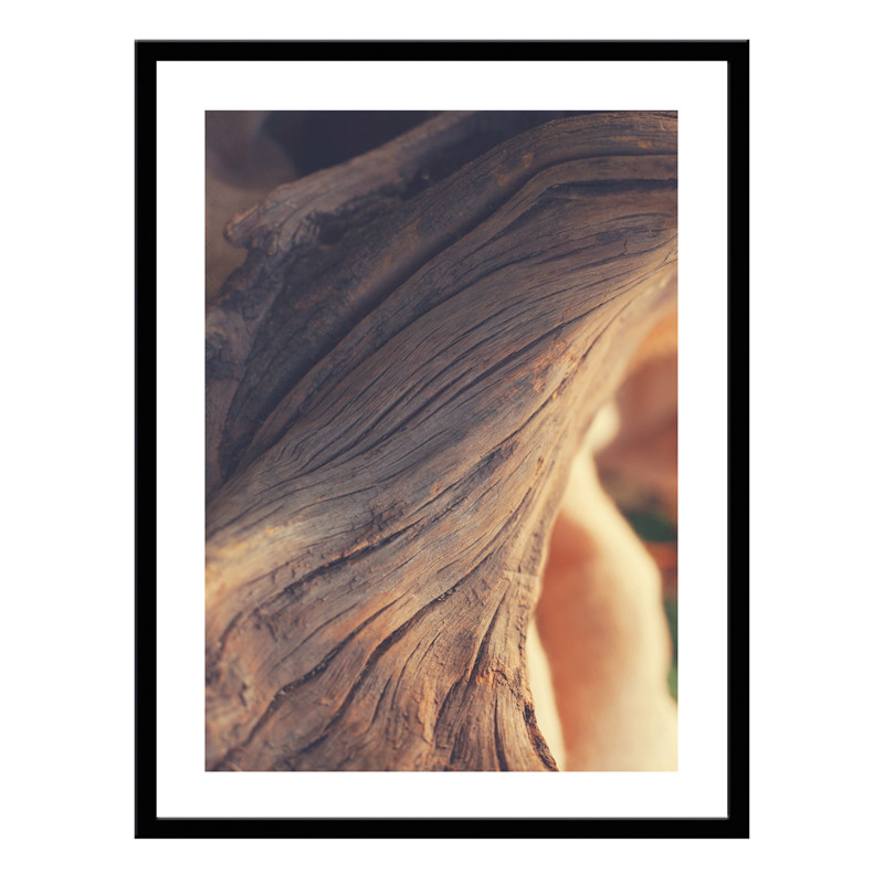Постер 30х40 Природа (Ствол дерева бонсай) (6) - фото 1 - id-p216079096