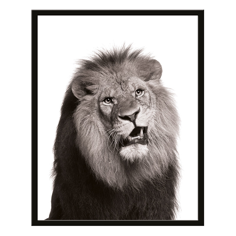 Постер в раме 40х50 Животные (Брутальный лев) 240501504 (6) - фото 1 - id-p216079855
