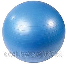 Мяч гимнастический PX-SPORT, 65 см + насос