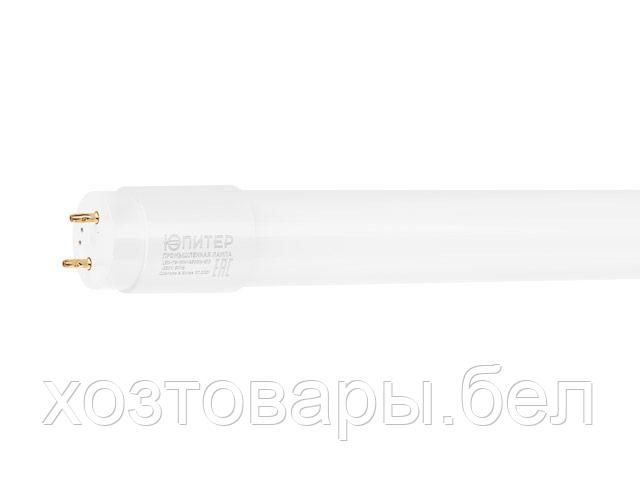 Лампа светодиодная промышленная T8 10 Вт G13 4000К ЮПИТЕР - фото 1 - id-p216146480