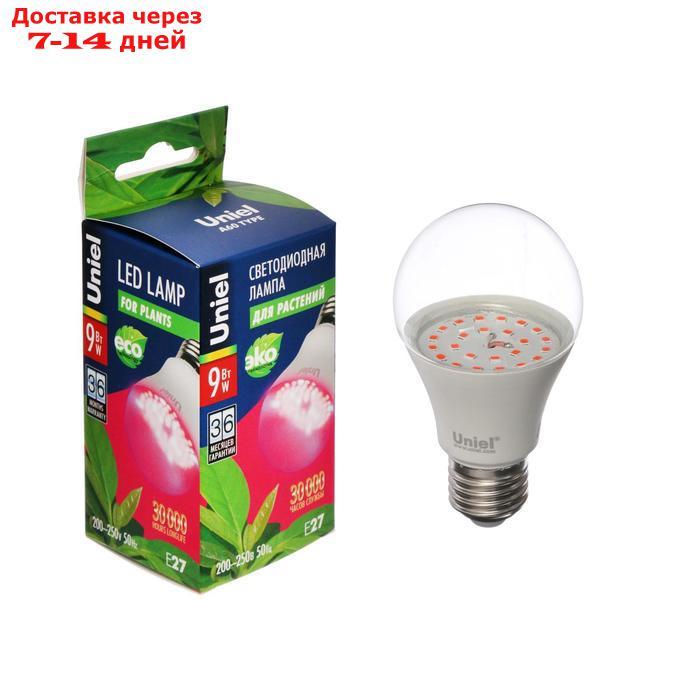 Лампа светодиодная для растений Uniel, Е27, А60, 9 Вт, 110 мм, прозрачная - фото 2 - id-p215604741