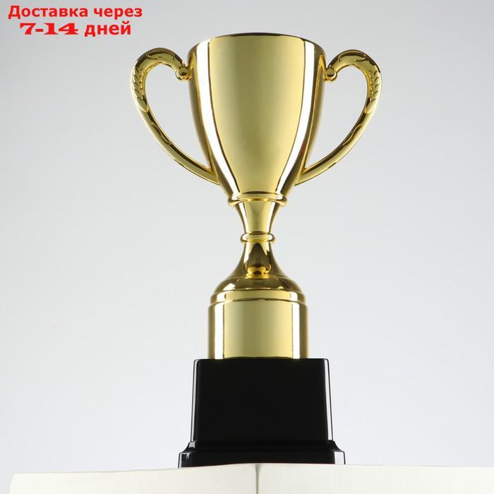 Кубок спортивный, золото, 24 × 14,5 × 8,5 см