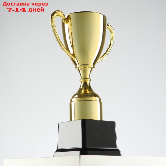 Кубок спортивный, золото, 24 × 14,5 × 8,5 см - фото 2 - id-p215606419