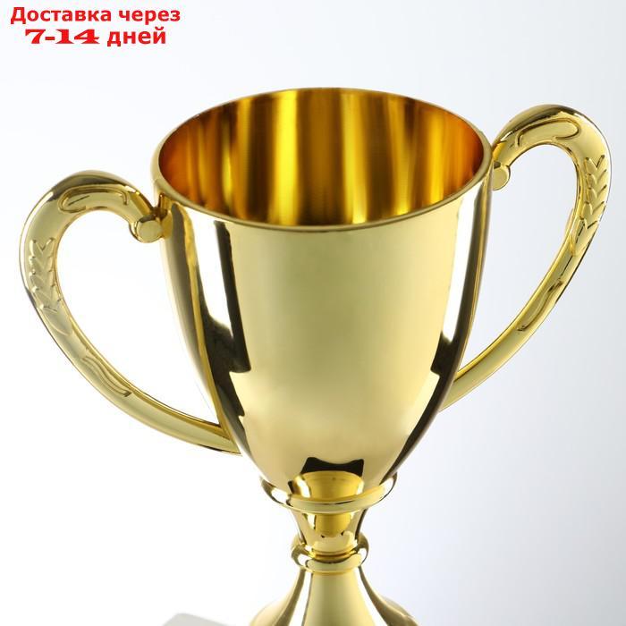 Кубок спортивный, золото, 24 × 14,5 × 8,5 см - фото 4 - id-p215606419
