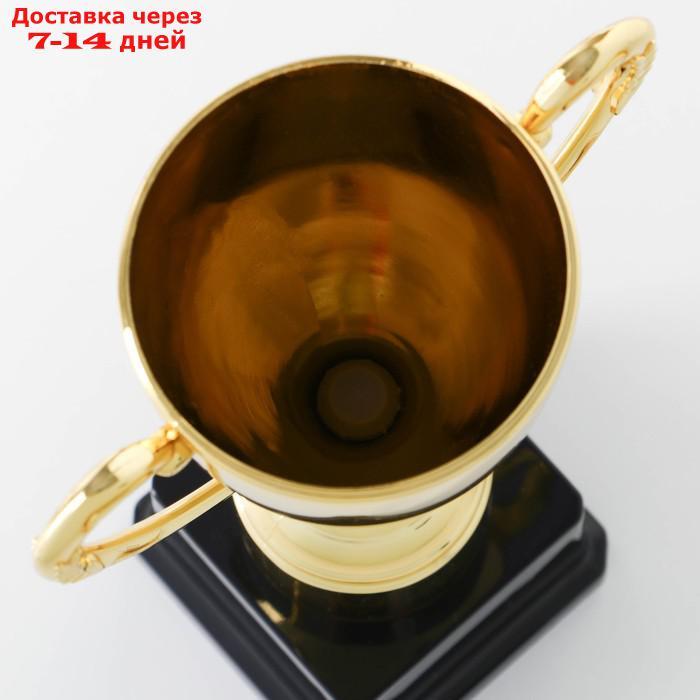 Кубок спортивный, золото, 24 × 14,5 × 8,5 см - фото 5 - id-p215606419