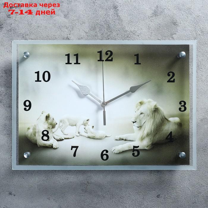 Часы настенные, серия: Животный мир, "Белые львы"25х35см, стрелки микс - фото 1 - id-p215604235