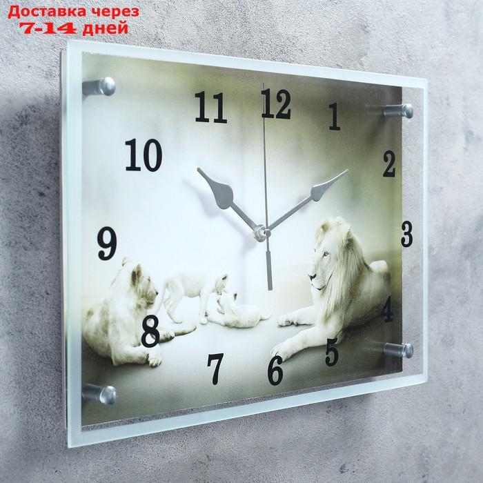 Часы настенные, серия: Животный мир, "Белые львы"25х35см, стрелки микс - фото 2 - id-p215604235