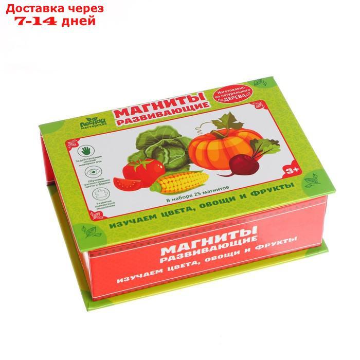Развивающие магниты "Изучаем цвета и овощи - фрукты" (набор 25 шт) - фото 2 - id-p215606721