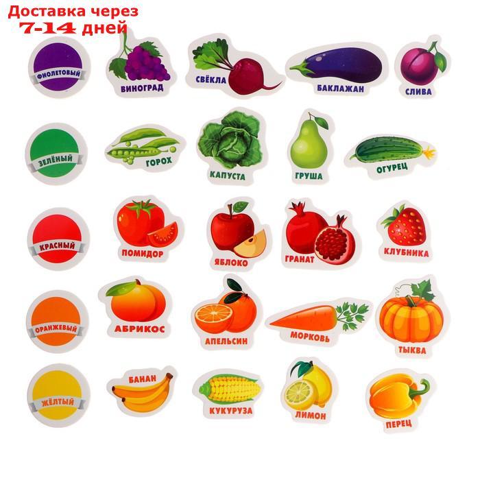 Развивающие магниты "Изучаем цвета и овощи - фрукты" (набор 25 шт) - фото 4 - id-p215606721