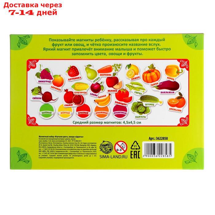 Развивающие магниты "Изучаем цвета и овощи - фрукты" (набор 25 шт) - фото 6 - id-p215606721