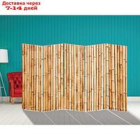 Ширма "Бамбук. Декор 5" 250 × 160 см