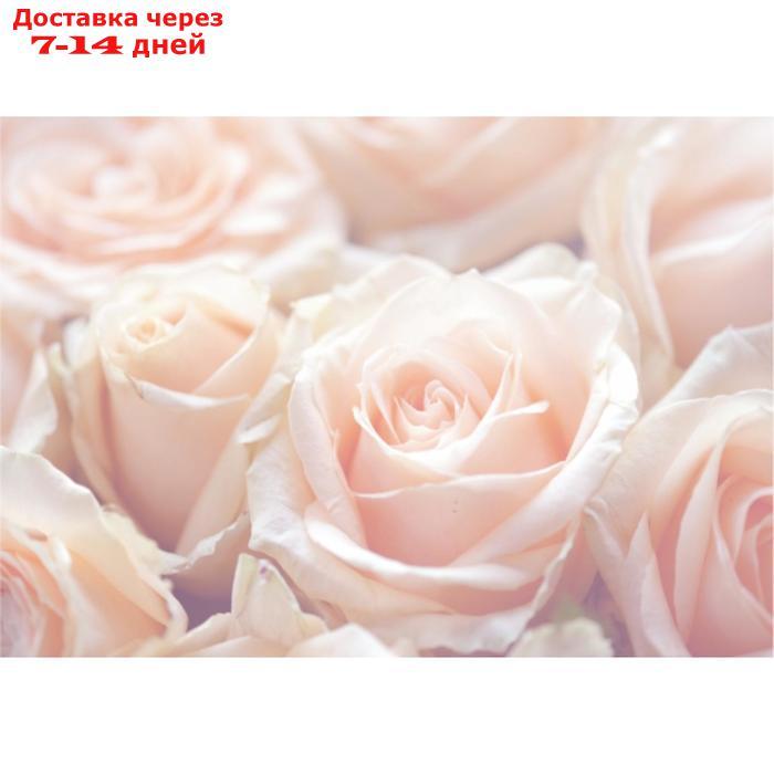 Фотообои B-014 Bellissimo "Нежные розы", 4 листа 1400х2000 мм